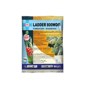 LADDER 80WG