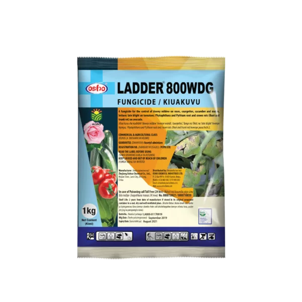 LADDER 80WG